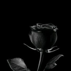 Meet your Posher, Ruth